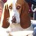 Dave Cupples - Facebook