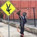 David Curbelo - @memesnoob_2021 - Instagram