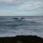 David Mercado Curbelo - @david.m.curbelo - Instagram