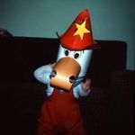 David Curbow - @curbow.adventures - Instagram