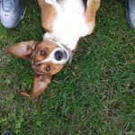 David Ćurčić - @davidcurcic180708 - Instagram