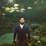 David Cure - @david_cure - Instagram