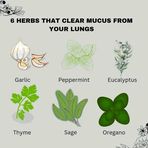 Dr David Herbal Medical Home Cure - Facebook