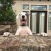 David Curington - Facebook