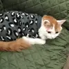 David P Currence - @david.p.currence - TikTok