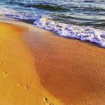 David Currey - @decurrey - Instagram
