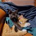 David Custer - Facebook