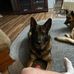 David Cutlip - Facebook