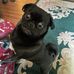 David Cutter - Facebook