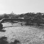 Landes Océan - @david.daguerre.56 - Instagram