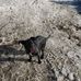 David Daigle - Facebook