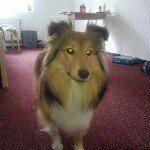 David Dallmeyer - @dalmayerdave - Instagram