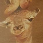 David Daly - @david.daly.7127 - Instagram