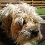 David Dalzell - @dd.dalzell44 - Instagram