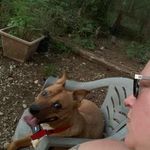 David Dammann - @dammanndavid - Instagram