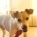 David Dampier - Facebook