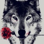 david damron - @snoopman1_8 - Instagram
