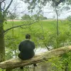 daviddamron805 - @daviddamron805 - TikTok