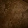 David Danko79 - @davidda__ - TikTok