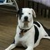 David Danko - Facebook