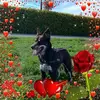 daviddanko76 - @daviddanko76 - TikTok