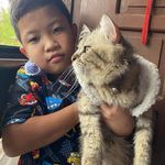 David Dantes - @david.dantes.56 - Instagram