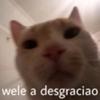 Emerson Eu - @david_dasher - TikTok