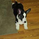 David Daugherty - Facebook