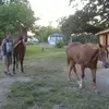David Daugherty - @david.daugherty33 - TikTok