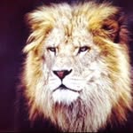 David_Davidovich_Davidov - @david_davidovich_davidov9889 - Instagram