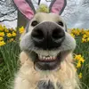 daviddavis9317 - @daviddavis9317 - TikTok