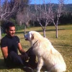 David Dawoud - @daviddawoud1 - Instagram