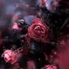 david dawoud - @mohameddawoud619 - TikTok
