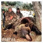 David Dayton - @iteshinylocal - Instagram