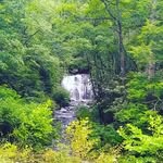 david dayton - @dayton3398 - Instagram