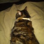 David Deblois - @david.deblois.587 - Instagram