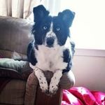 David Deck - @daviddeck76 - Instagram