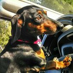 David Deemer - @lil_dee_53 - Instagram
