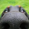 daviddeford2 - @david.deford - TikTok