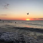 David Dekker - @ebiloilvia - Instagram