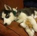 David DeMoss - Facebook