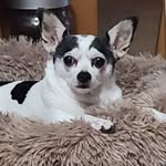 David DeMoss - @dwd255 - Instagram