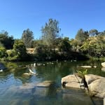 David DeMoss II - @daviddemossii - Instagram
