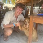 David D’Errico - @davidderrico55 - Instagram