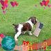 David DeRuiter - Facebook