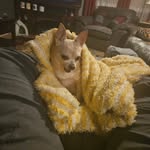David DeRuiter - @davidd1959 - Instagram