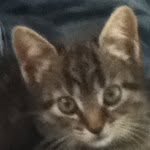 davidderuiter71 - @davidderuiter71 - Instagram