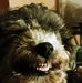David Detrick - Facebook