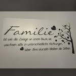 David Dettling - @dvddttlng16 - Instagram