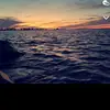 David Detweiler - @david.detweiler3 - TikTok